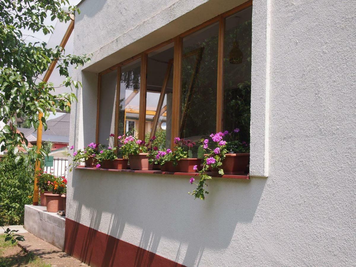 Deel Apartman Nyíregyháza 외부 사진